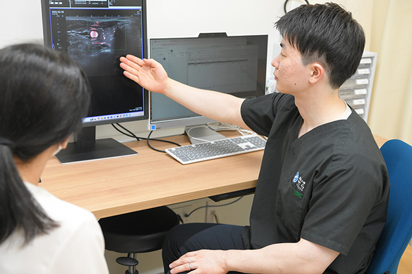 池尻大橋せらクリニック 検査結果をもとにわかりやすく治療について説明