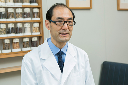 漢方の得意分野とは？ 漢方治療の特徴と活用方法について
