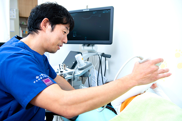 山と空こどもアレルギークリニック 大人のアレルギー疾患に対する診療も提供している