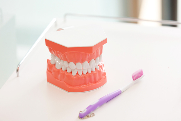 みなみ歯科・矯正歯科 定期検診は、口の衛生状態の確認をするために重要