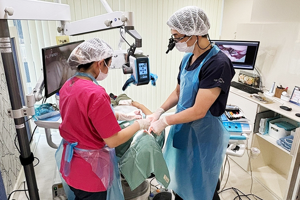 さな歯科クリニック 歯周病治療のスペシャリストとして歯の再生療法にも取り組む