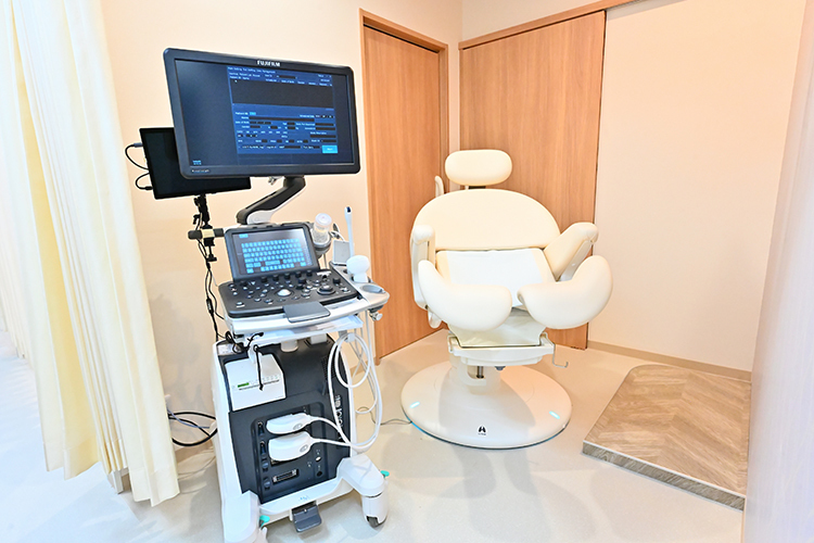 戸越銀座レディースクリニック 女性におけるクラミジアなどの性病の症状は？ 放置せず早期検査を