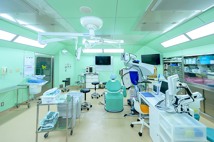 藤田眼科 眼形成の専門家が取り組む 日帰りで受けられる精密な外眼部手術