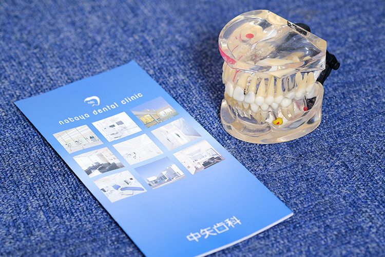 中矢歯科 乳歯が生え始めたら行う予防歯科 虫歯と咬合の定期的なチェックを