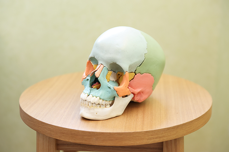 井上秀人歯科インプラントクリニック 歯が無いとどうなる? 健康寿命に重要な正しい噛み合わせ