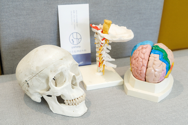 やひろ脳神経外科 「怖い頭痛」と「怖くない頭痛」 痛みがあれば脳神経外科へ