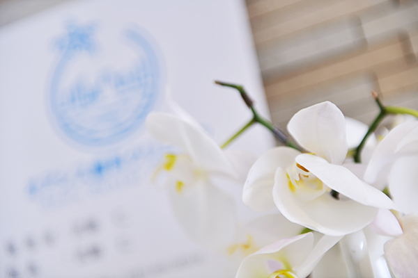 オアシス歯科クリニック 虫歯や歯周病の予防から考える 噛み合わせや歯並びを整える重要性