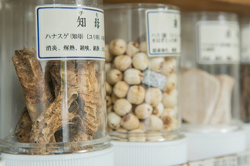 漢方の得意分野とは？ 漢方治療の特徴と活用方法について｜ドクターズ