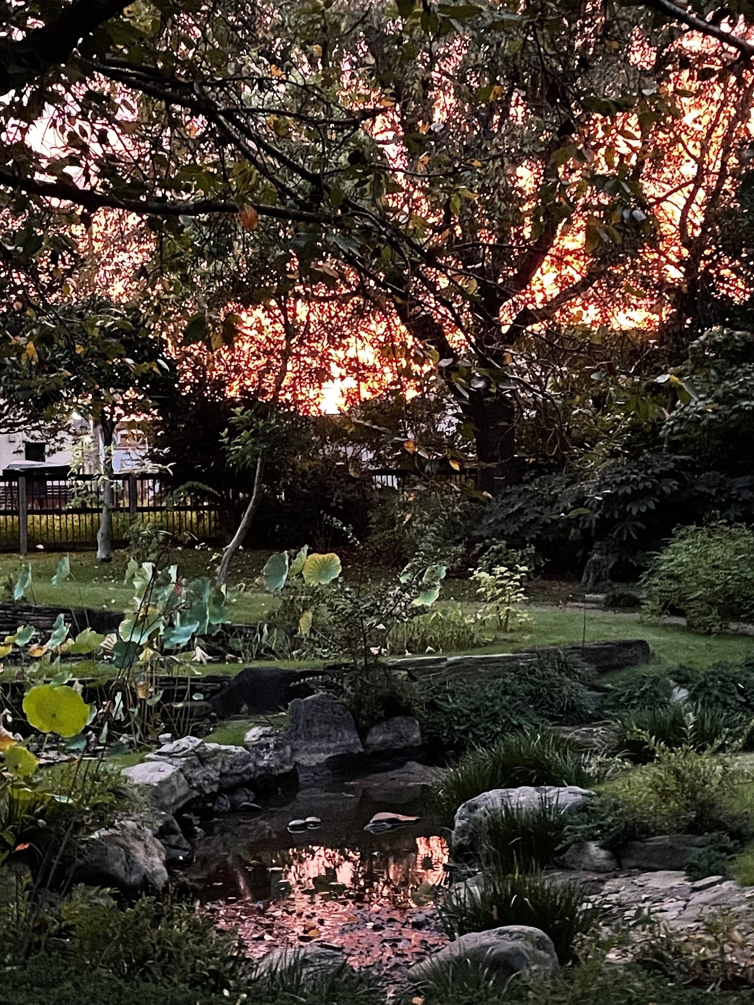 Women's Clinic ひらしま産婦人科・皮膚科 お知らせ１