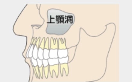 永田歯科クリニック お知らせ１