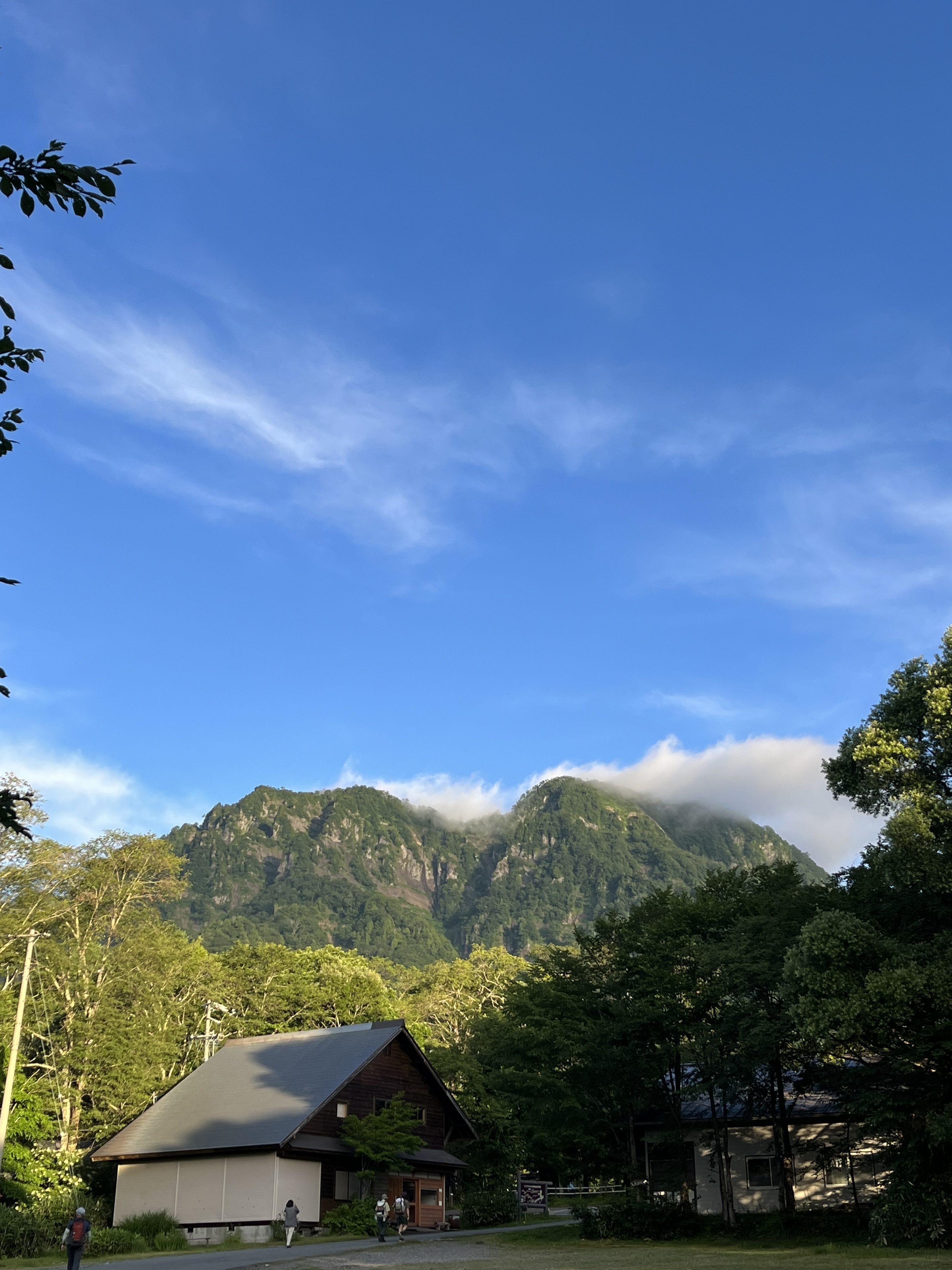 つばき医院 お知らせ1