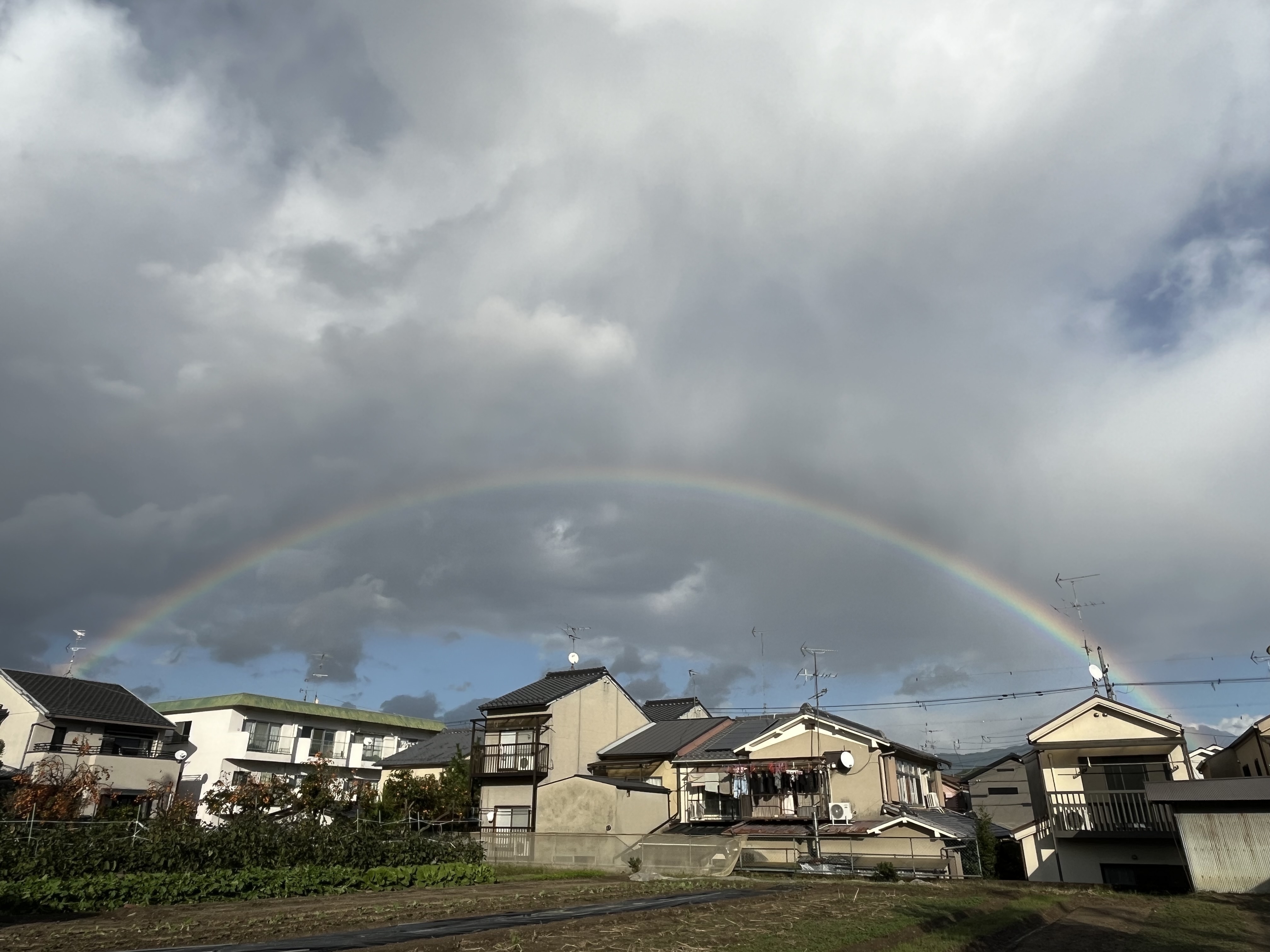 つばき医院 お知らせ1