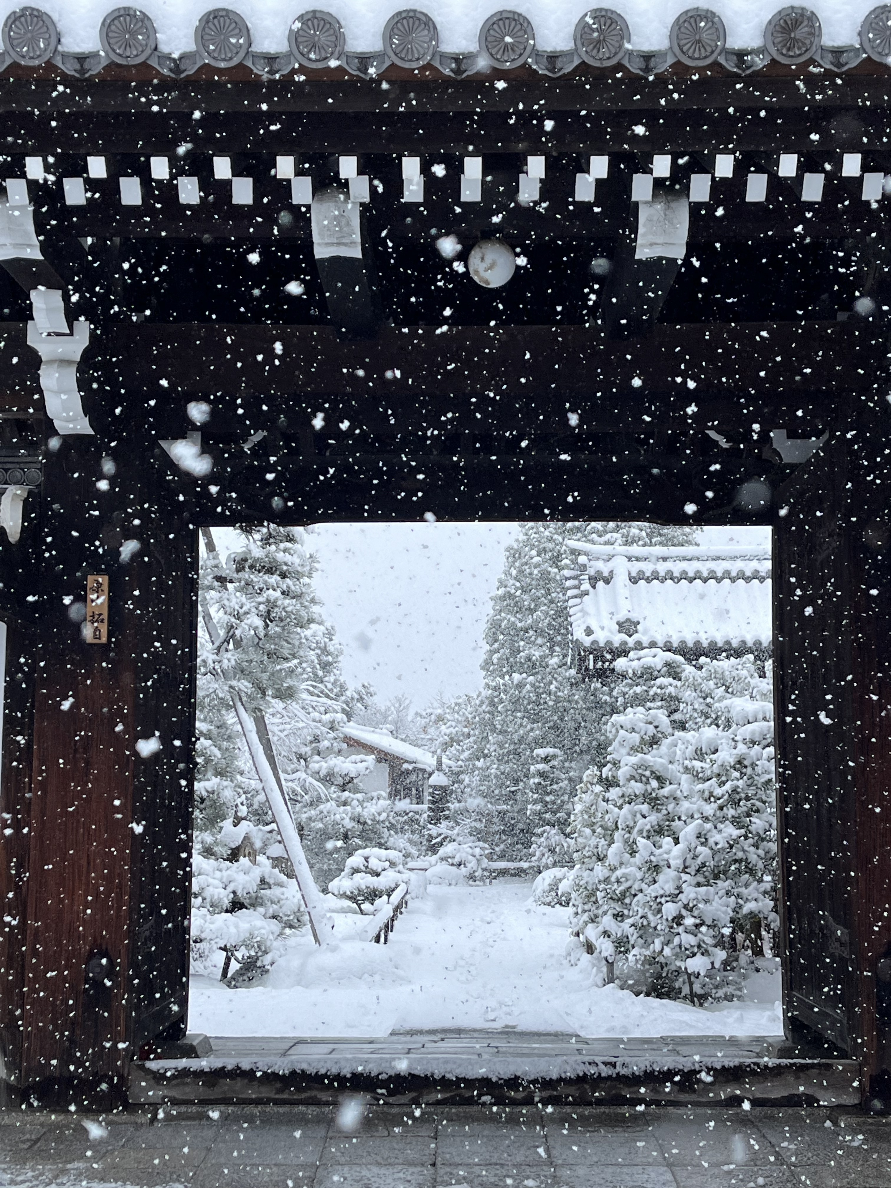 つばき医院 お知らせ１