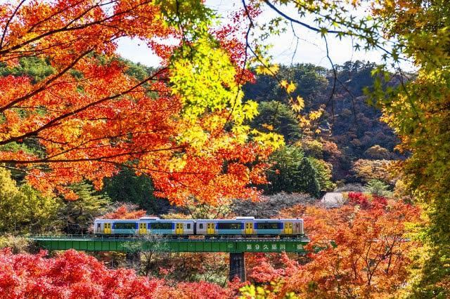 布田歯科医院 お知らせ1