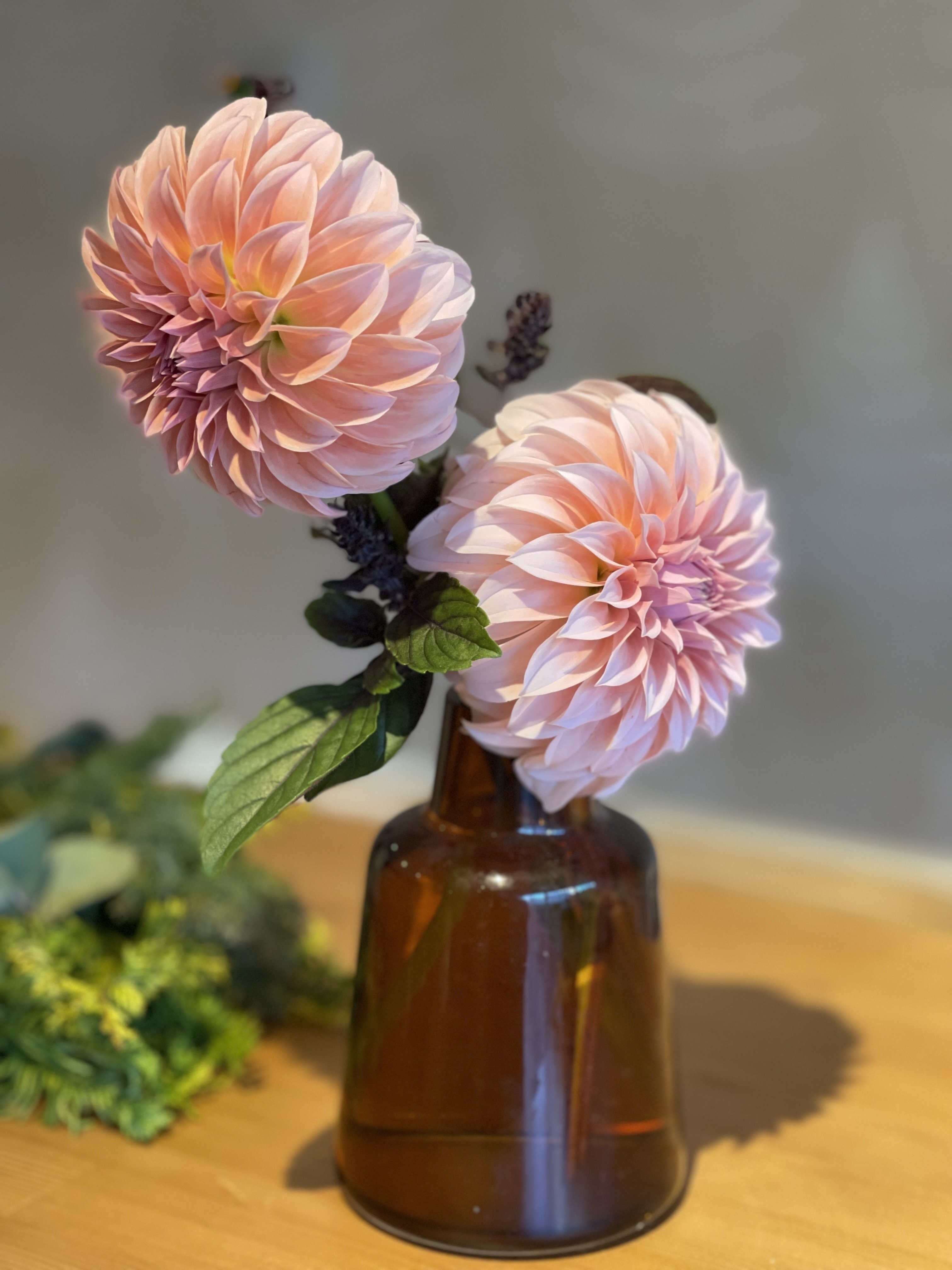 代官山やまびこクリニック お知らせ1