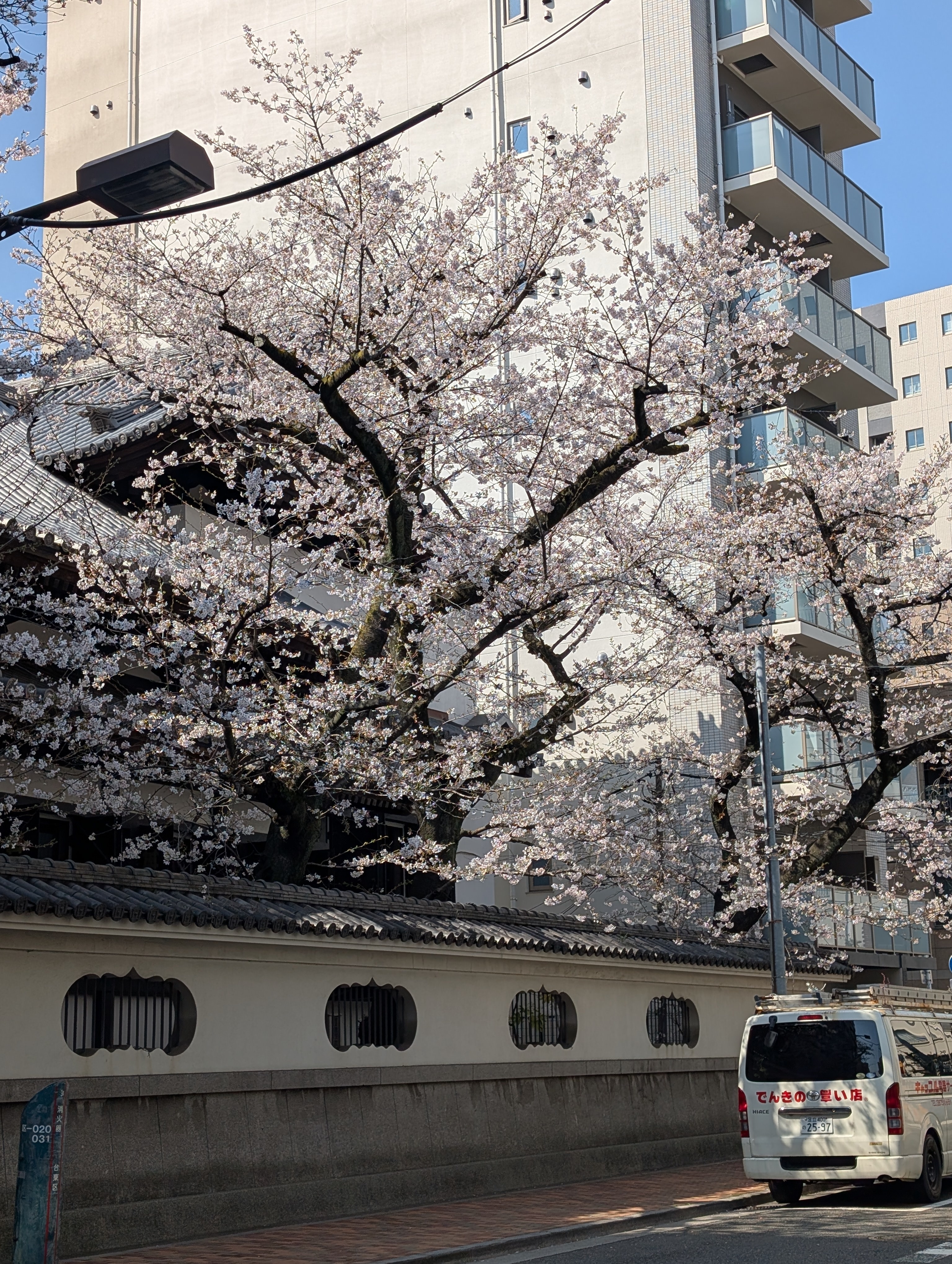 八木下歯科医院 お知らせ１