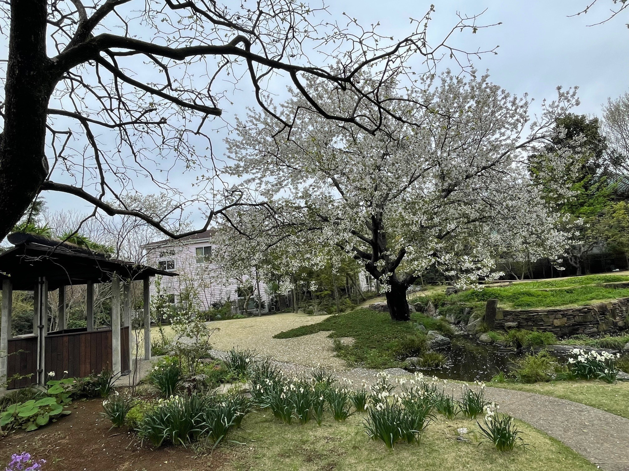 Women's Clinic ひらしま産婦人科・皮膚科 お知らせ２