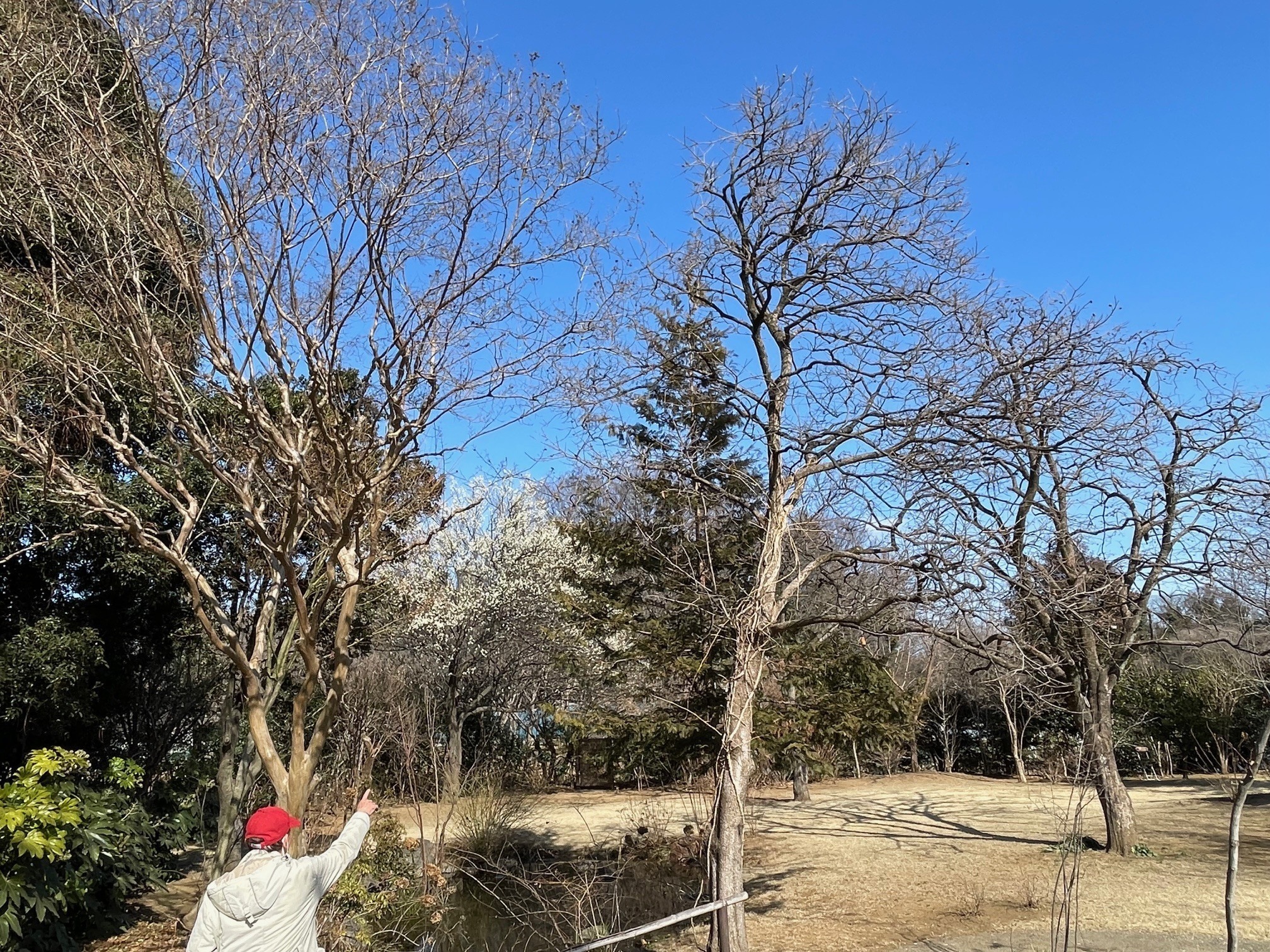 Women's Clinic ひらしま産婦人科・皮膚科 お知らせ２