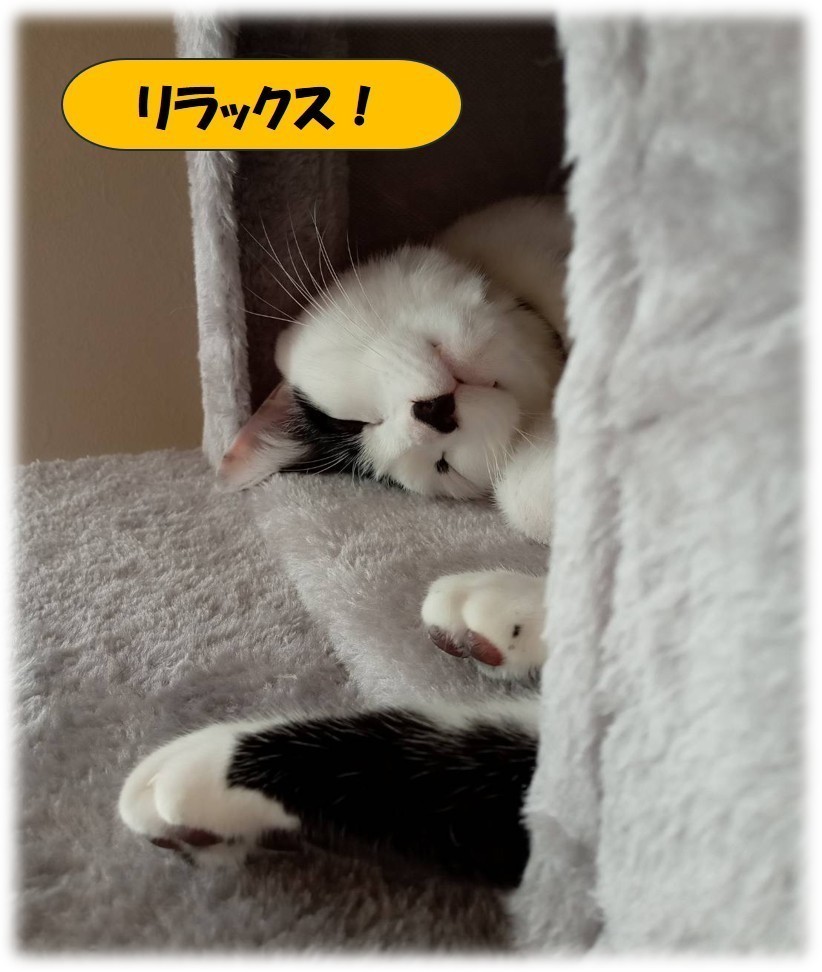 永田歯科クリニック お知らせ2