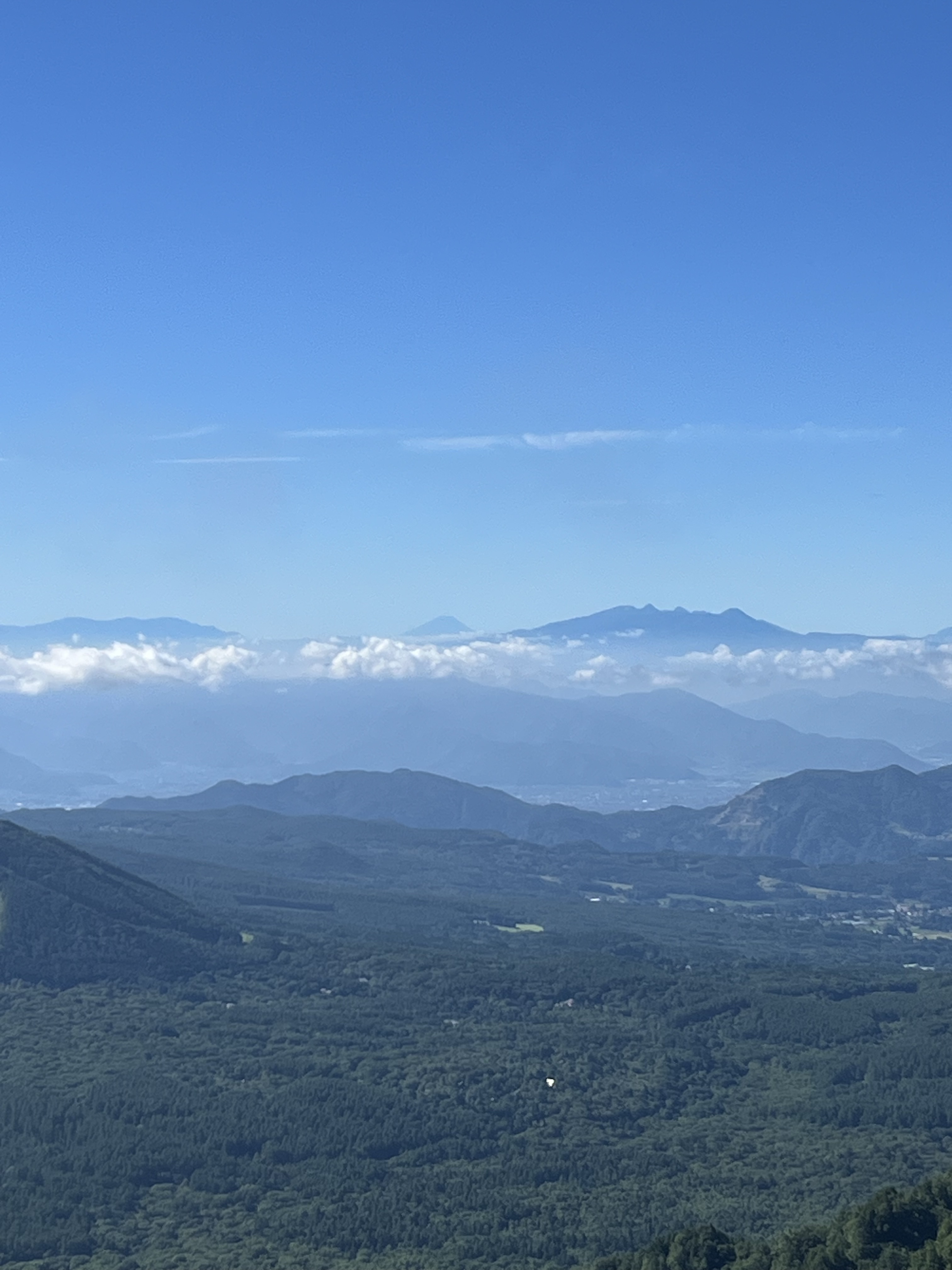 つばき医院 お知らせ2