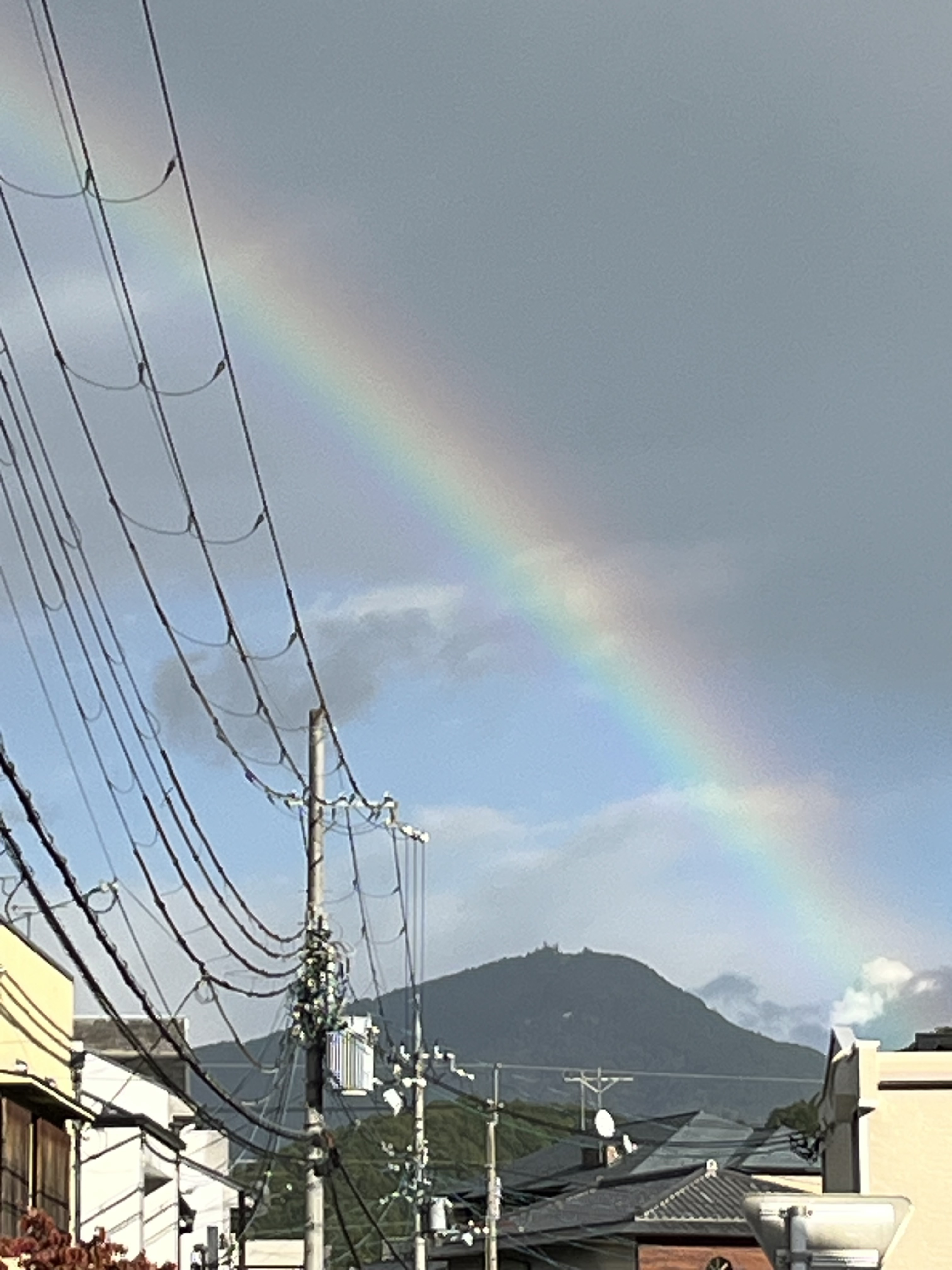 つばき医院 お知らせ2