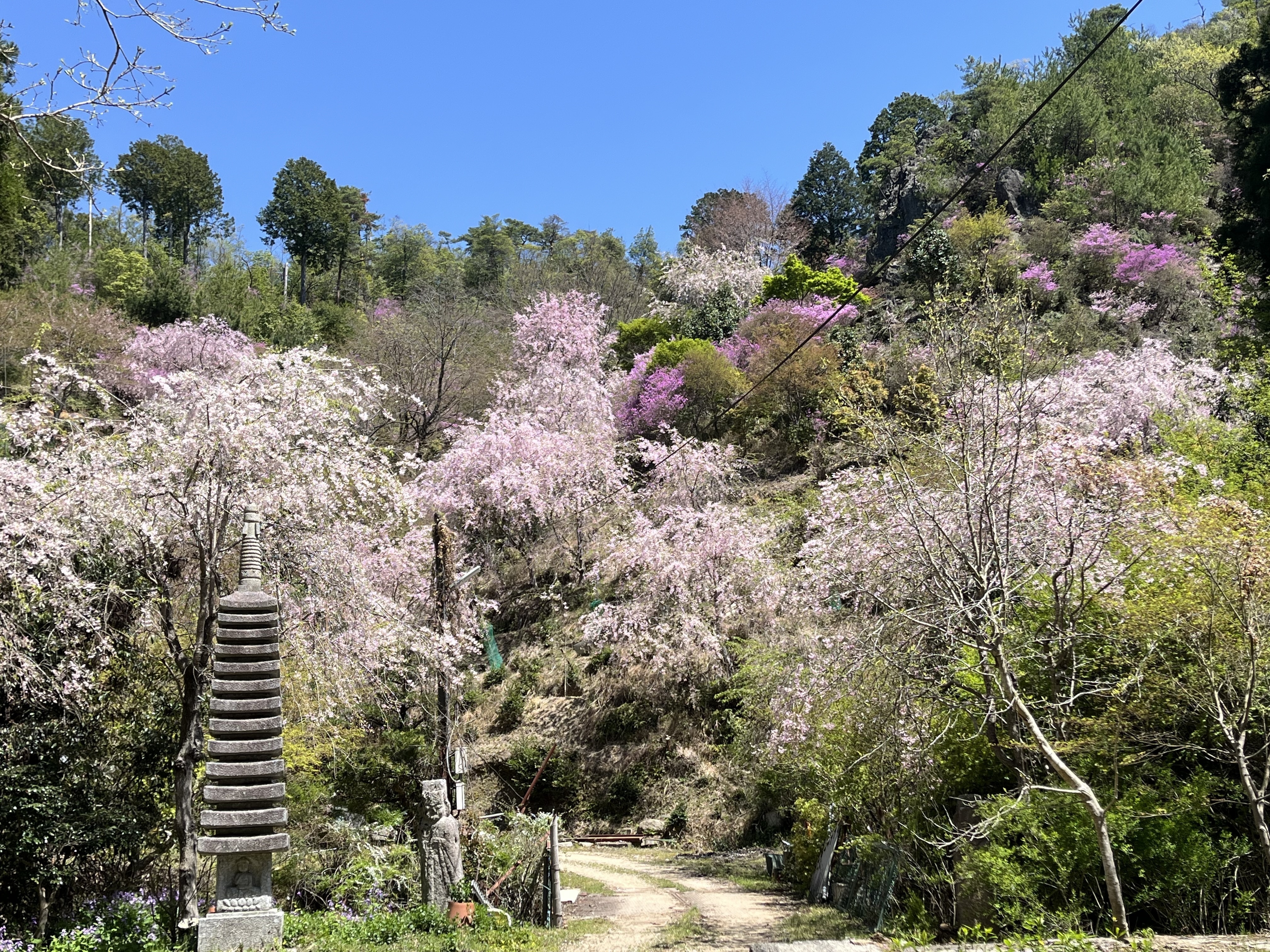 つばき医院 お知らせ２