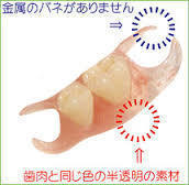 しろくま歯科医院 お知らせ2