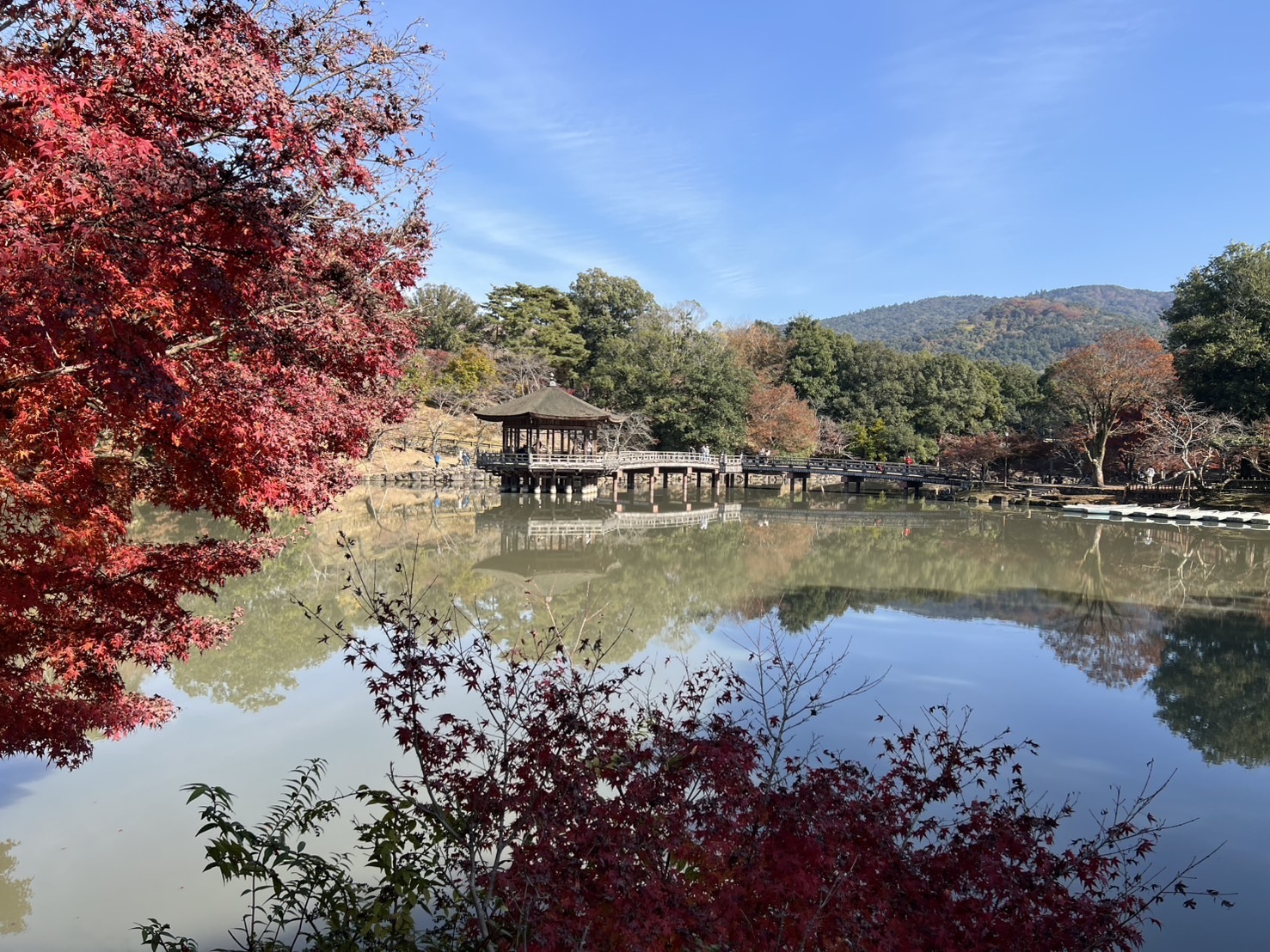 浦野歯科医院 お知らせ２